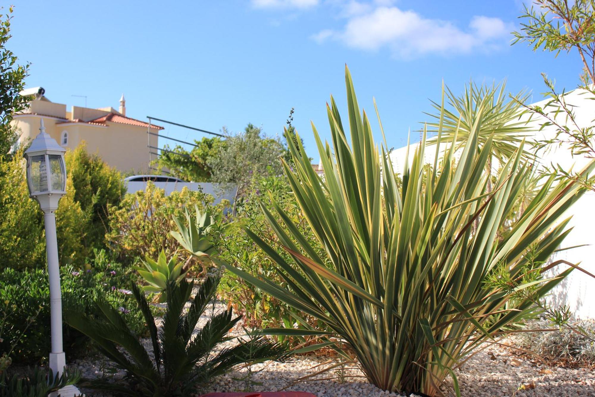 Sunshine Hotel Albufeira Exterior foto