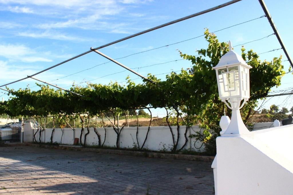 Sunshine Hotel Albufeira Exterior foto